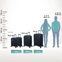 IT Luggage Spontaneous - Medium Plus (Blueberry) -Travel Luggage Store Spontaneous Full set blueberry Relative Size 894c4d9b 1d1c 448f 82f4 7bf8a8d6204d