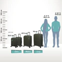 IT Luggage Spontaneous - Large (Olive Night) -Travel Luggage Store Spontaneous Full set olive Relative Size